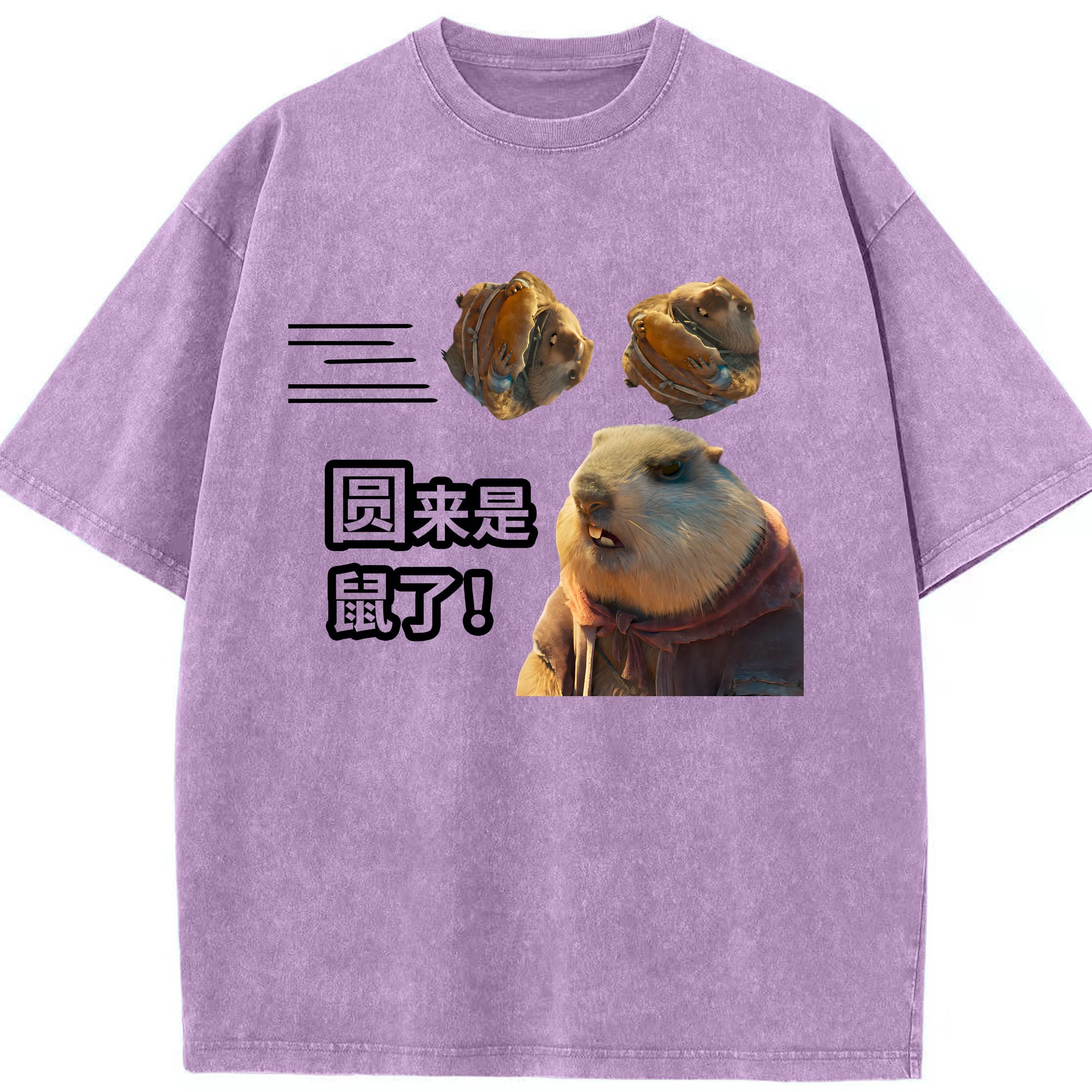 （画像用） Ne Zha 2 ナタ 魔童の大暴れ 綿100% ヴィンテージ風 半袖Tシャツ（フロントプリント）