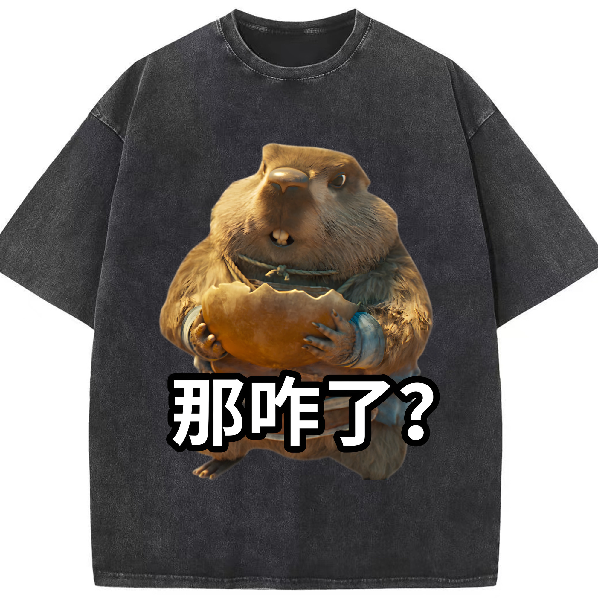 （画像用） Ne Zha 2 ナタ 魔童の大暴れ 綿100% ヴィンテージ風 半袖Tシャツ（フロントプリント）