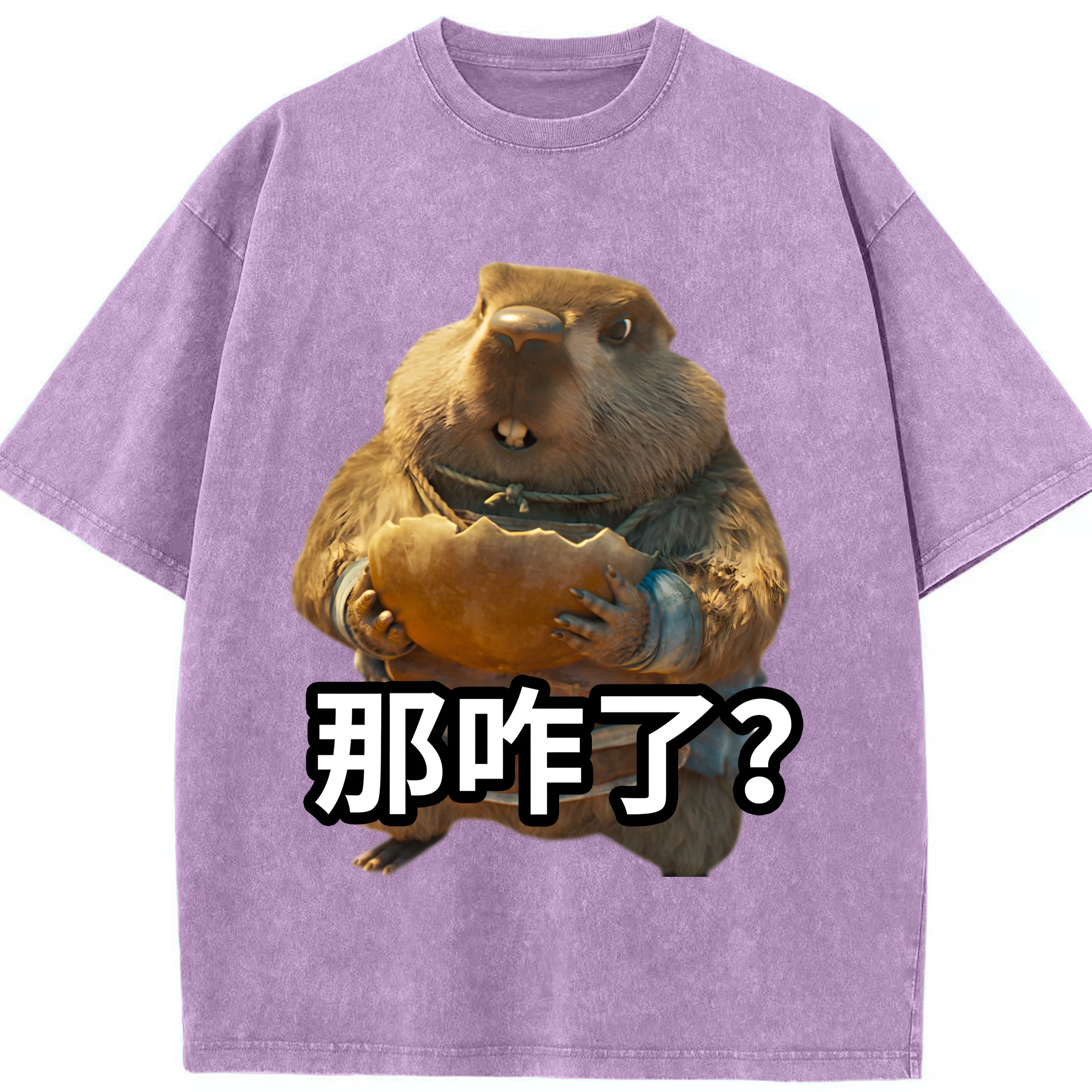 （画像用） Ne Zha 2 ナタ 魔童の大暴れ 綿100% ヴィンテージ風 半袖Tシャツ（フロントプリント）