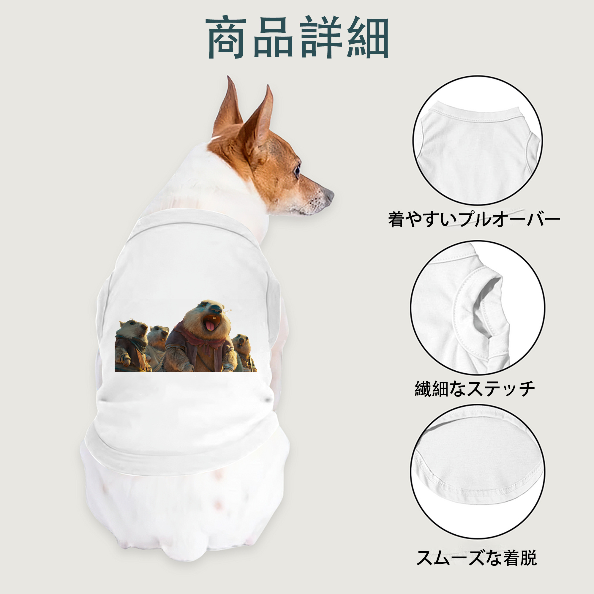 一般的なイメージ