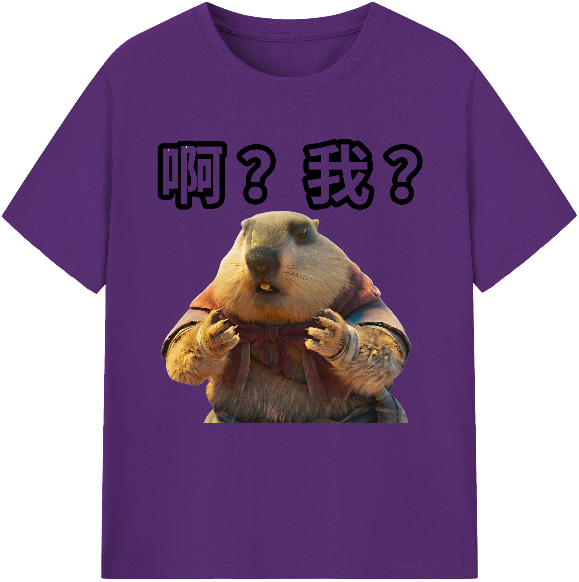 （画像用） Ne Zha 2 ナタ 魔童の大暴れ 綿100％半袖Tシャツ（フロントプリント）